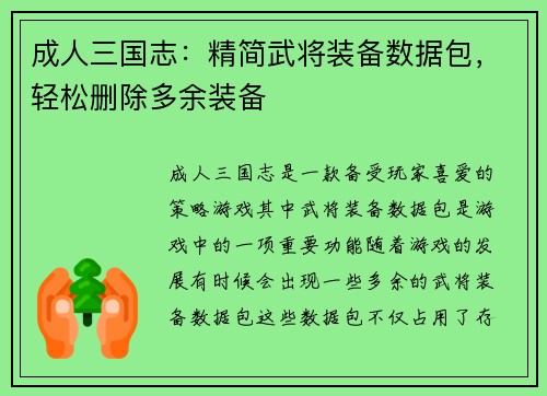 成人三国志:精简武将装备数据包,轻松删除多余装备